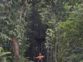 Tn DSC 4321